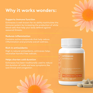 HEAL+CO - Echinacea (120 Vegi-Caps)