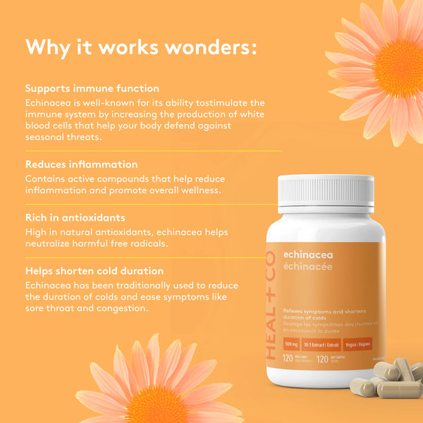 HEAL+CO - Echinacea (120 Vegi-Caps)